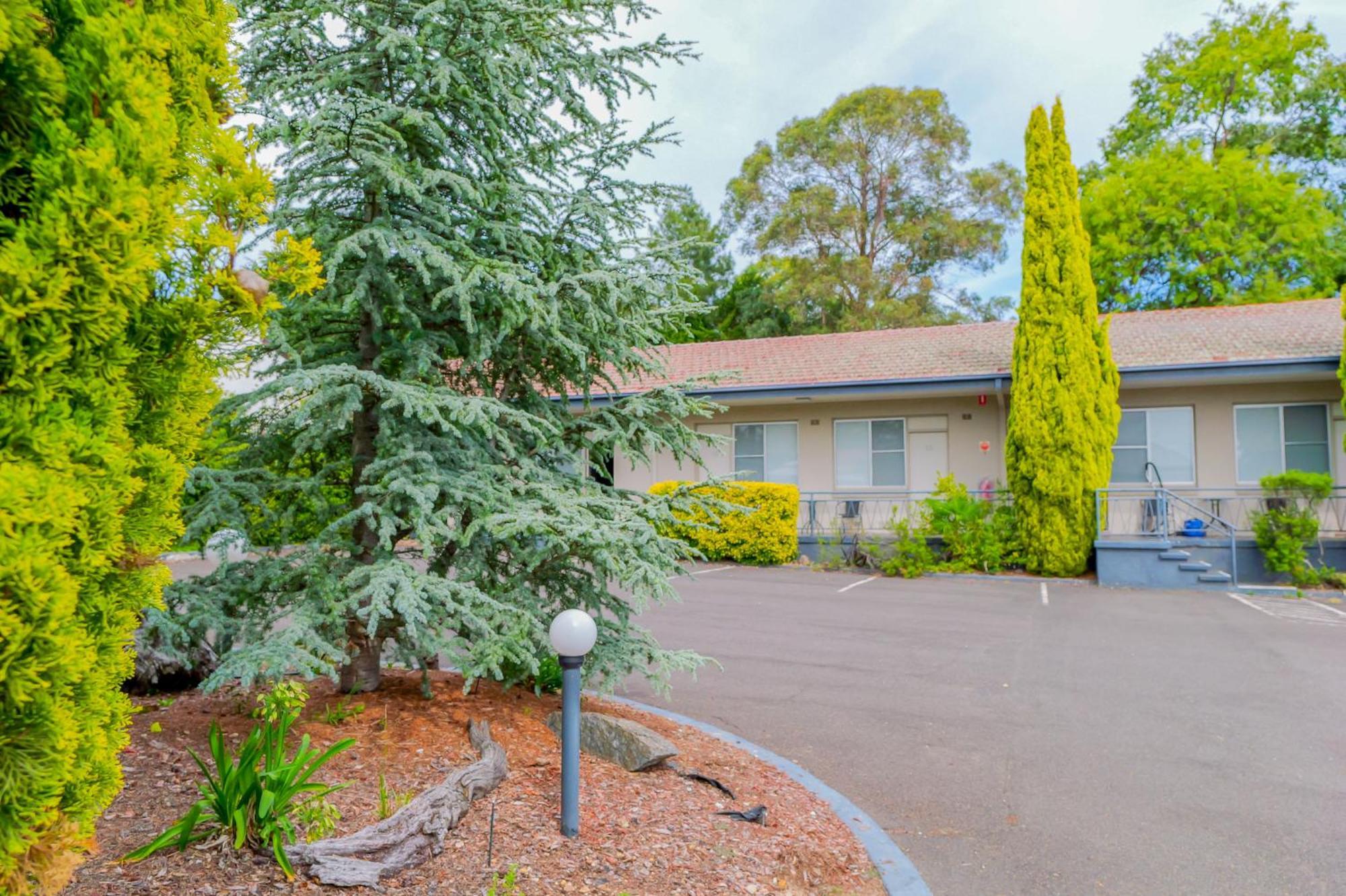 Abbotsleigh Motor Inn Armidale Zewnętrze zdjęcie